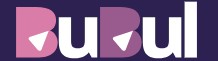 Bubul Expert logo