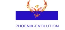 Phoenix Evolution Consulting Limited logo