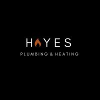 Hayes Domestic and Commercial Gas Ltd logo