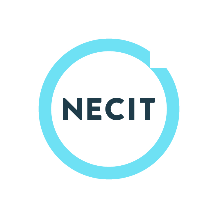 NECIT Services Ltd logo
